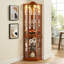 Armoire d'angle avec porte vitrée, tablettes réglables en verre-1132446402