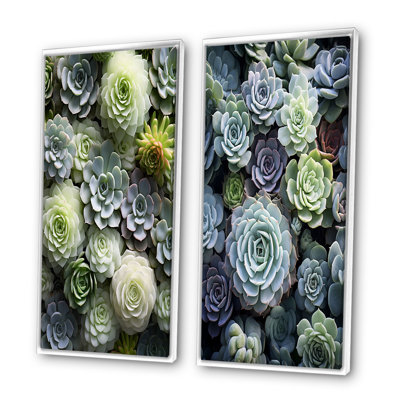 " Green Succulents Flowers Serene Succulents " 2 - Pieces