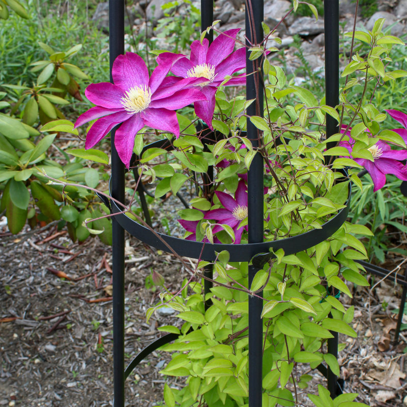 Graphite Wrought Iron Garden Obelisk Trellis, 84 Inches