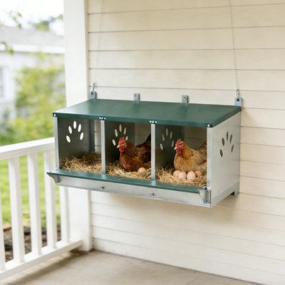 Boîtes de nidification pour poulets, boîte de nidification pour poulets à 3 compartiments