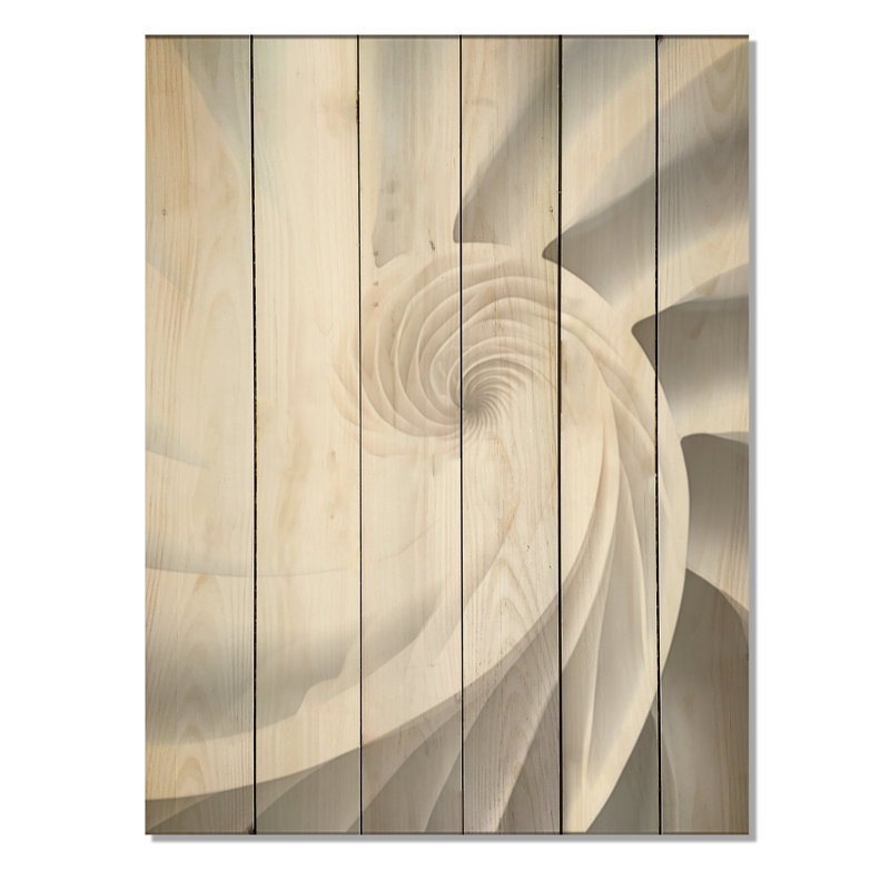 Ivoire Sea Sheel Infinity Sprial - Nautilus, art sur bois de pin naturel, H 32 po x l 24 po