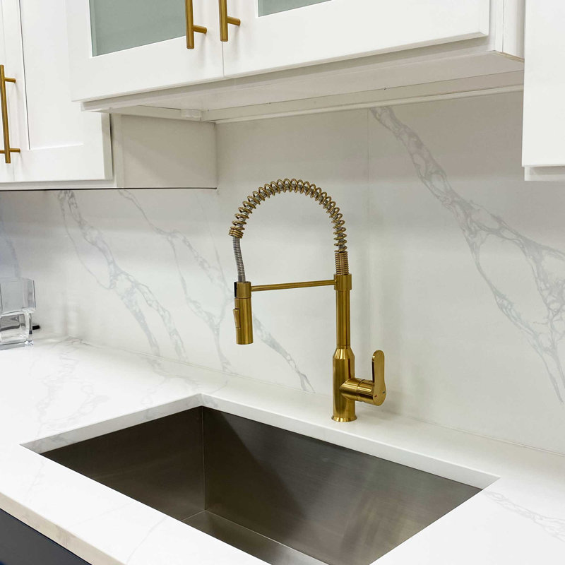 LessCare Pull Down Kitchen Faucet, Gold