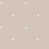 Plaster