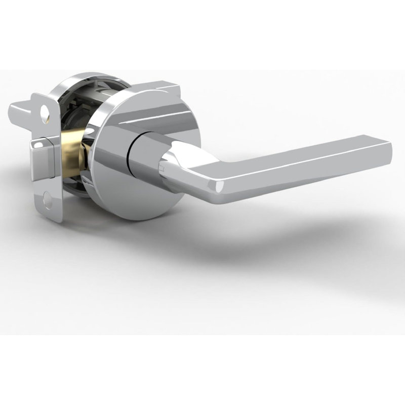 Poignée de porte intérieure réversible avec rosette ronde Mega Handles RALPH | Finition moderne en acier inoxydable pour les chambres à coucher, les salles de bain et les couloirs
