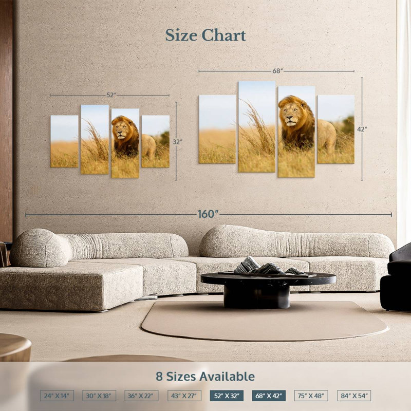 Lion safari Brampt, H 32 po x l 52 po