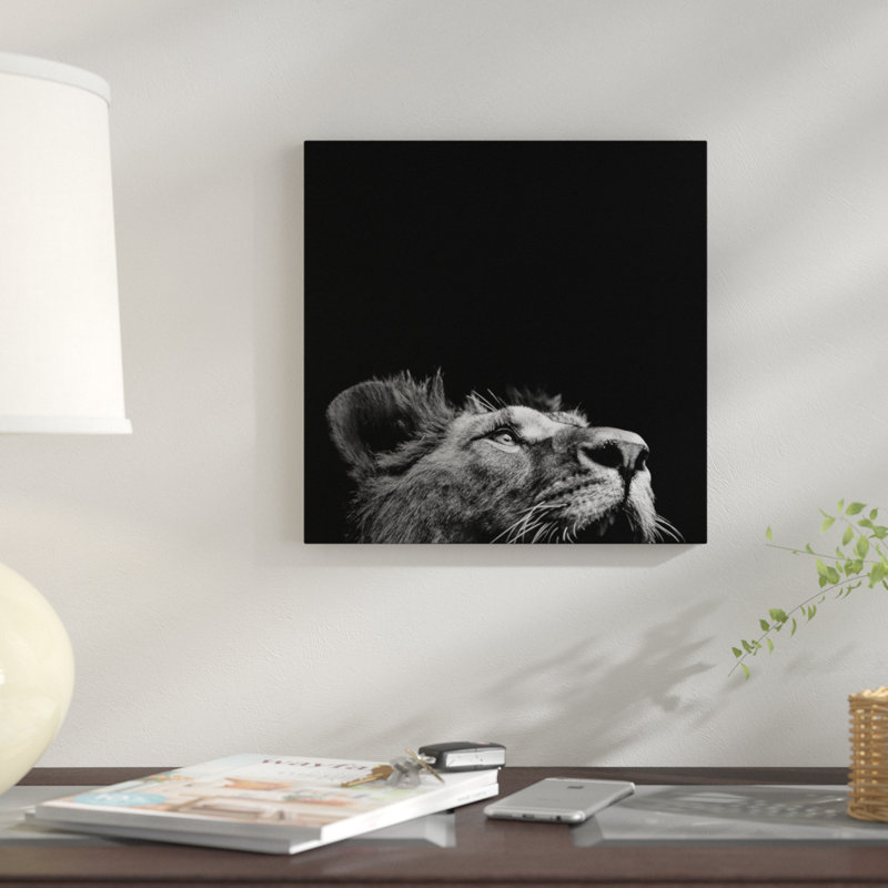 « lion ii », reproduction de photo sur toile, H 26 po x l 26 po x P 1,5 po, Toile tendue, Pas de tapis