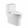1.28 GPF Elongated One Piece Dual-Flush Toilet with Soft-Closing Seat,MAP Flushing 1000G