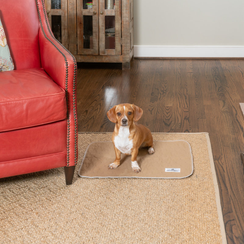Sous-vêtements lavables de qualité supérieure Pet Pet Parents® Pawtect®, 2ct Classic, Très petit l 18 po x P 24 po