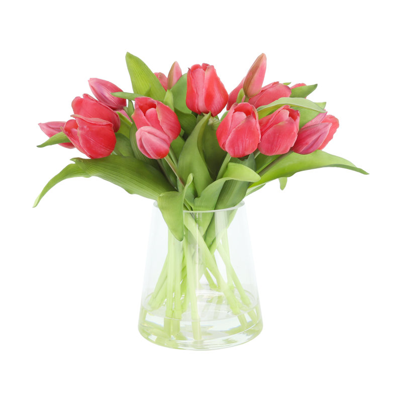 Vraies tulipes dans un vase en verre, Dark Pink