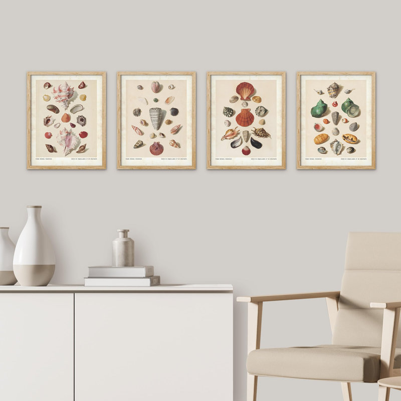 «Old-World Shell Collection», impression thématique maritime encadrée sur papier, 4 pièces, H 16 po x l 12 po, Naturel