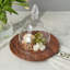 Cloche en verre - Goutte d'eau