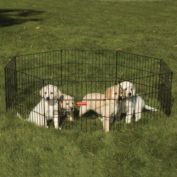 Black Metal Dual Locking Dog Exercise Pen with Door