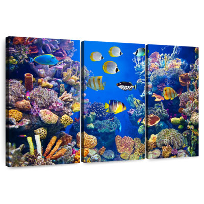 Aletra Teeming Underwater Life