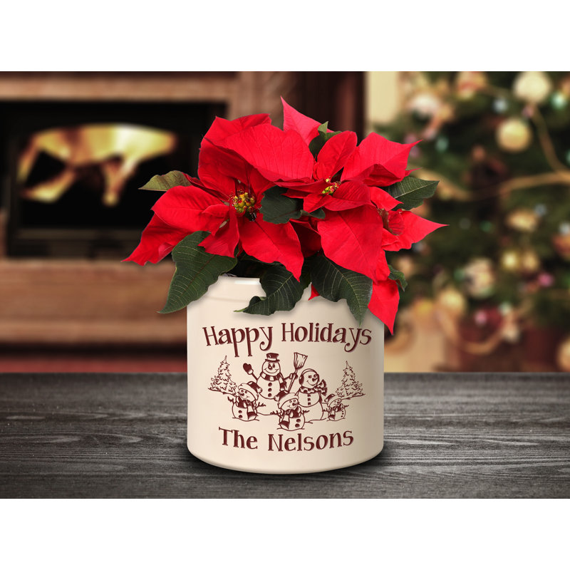 Wooler Pot Planter, Red, Yes