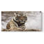 Tigre royal du Bengale - toile tendue avec châssis - prête à être accrochée-328437220