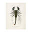 "Bachelor", Charles Dessalines D, l'empereur, scorpion, art sur toile-105645286