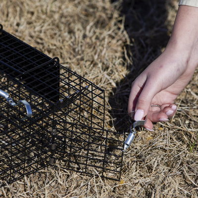 Weather Resistant Chipmunk Cage