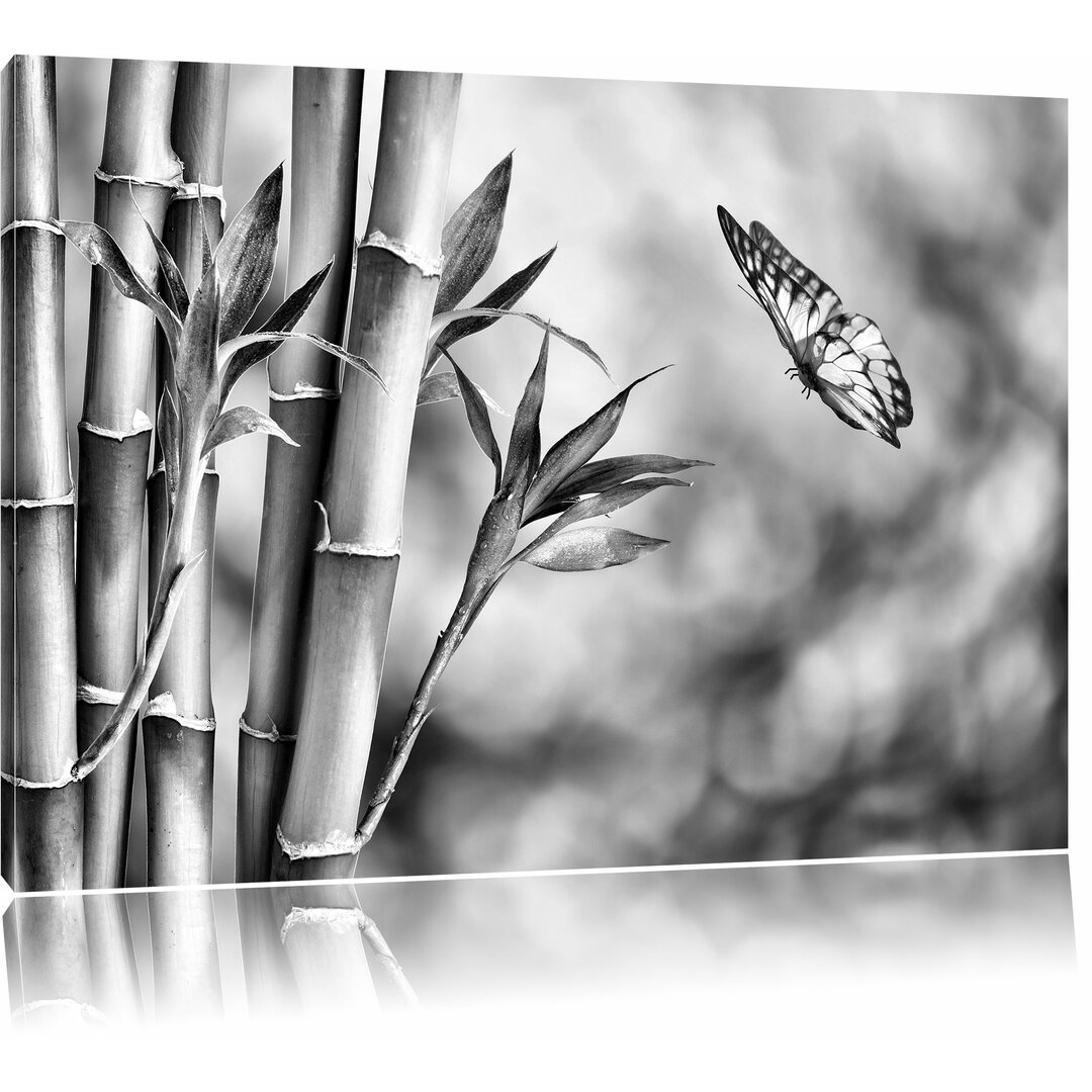 Leinwandbild Bambus mit Schmetterling in Monochrom