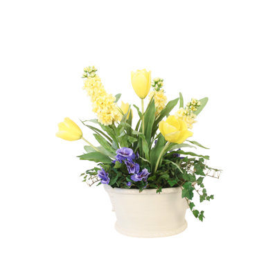 Yellow Snapdragons with Tulips and Pansies in Oval Planter