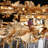 Marquise 21-Light Round Chandelier - Gold