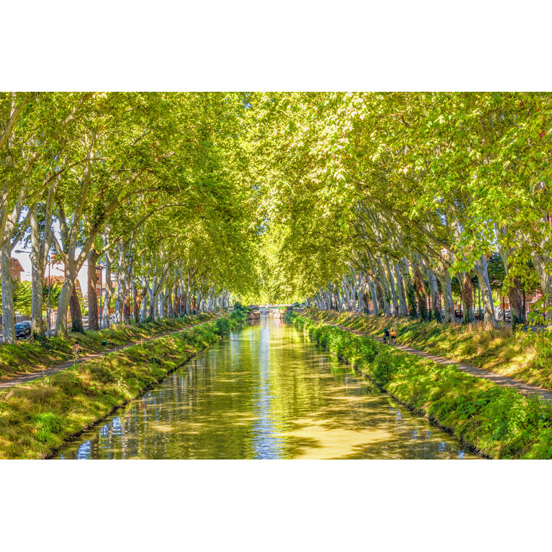 Canal Du Midi, France by Gianliguori - Wrapped Canvas Print, 51cm H x 51cm W x 3.8cm D