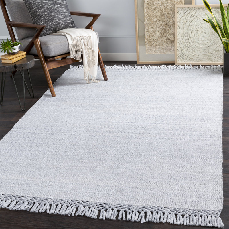 Tapis intérieur / extérieur gris clair tissé à la main Loretta, Rectangle 2 pi x 3 pi