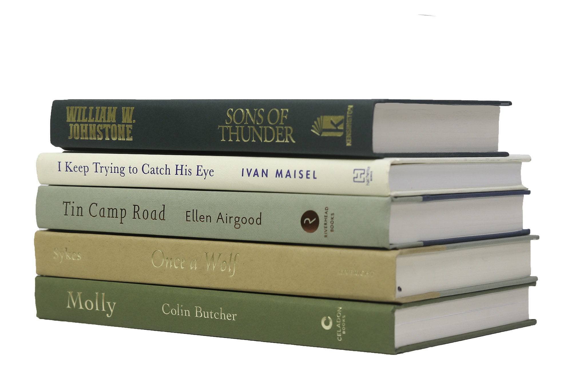 Latitude Run® 5 Piece Heulwen Decorative Book Set & Reviews | Wayfair