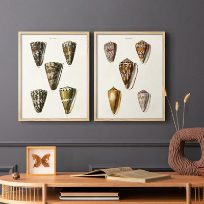 Impression encadrée V-Cone Shell Collection - prête à être accrochée - aucun clou requis - aucun clou requis