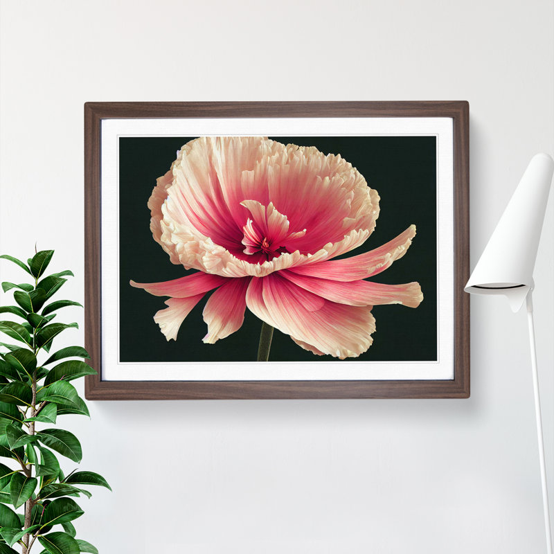 XH1022-7282X Radiant Carnation Flower 1 Piece Single Picture Frame Wall Art, 34cm H x 46cm W x 2cm D, Walnut Framed