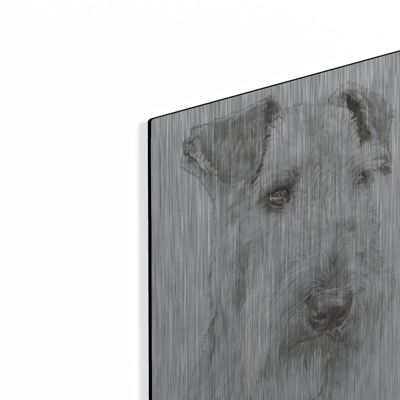 «Shaggy» par Barbara Keith, H 16 po x l 12 po