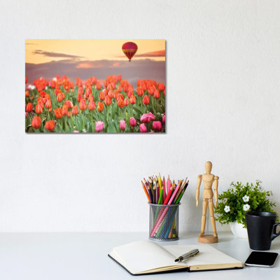 Tulip Field Hot Air Balloon 1 Piece Wrapped Canvas Wall Art
