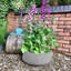Fibreglass Plant Pot-39263427-39263429
