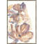 la Floraison IV Framed Painting Canvas