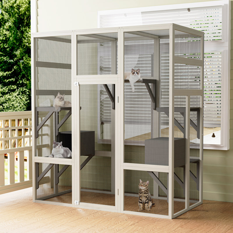 Cat House