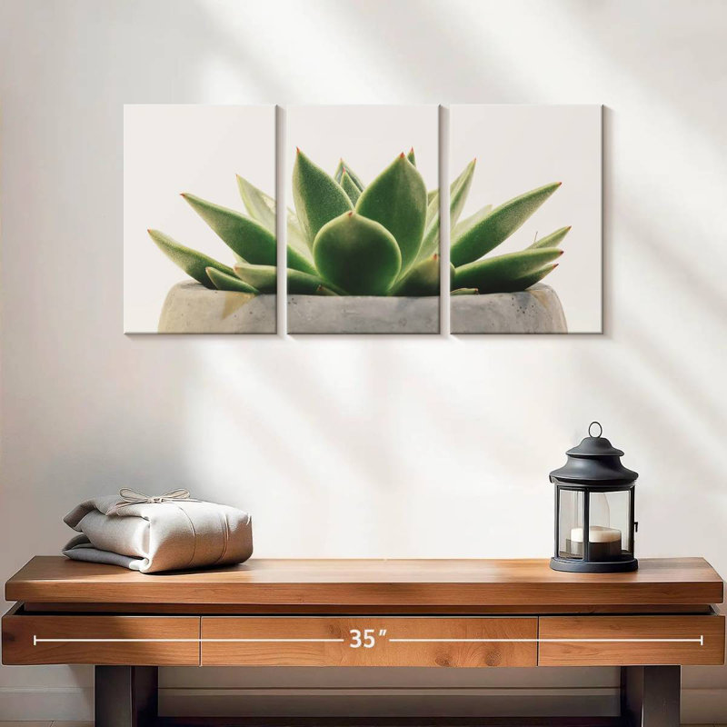 Plante grasse Harnek Stone Pot, H 12 po x l 26 po