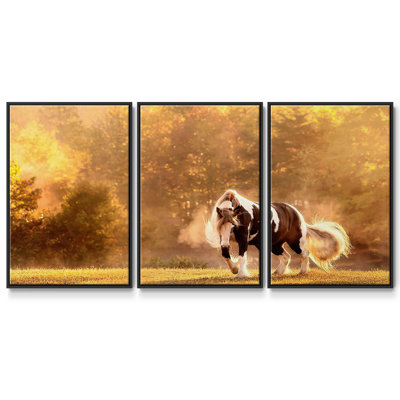 «Horse Motion III», reproduction sur toile flottante 3 pièces