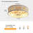 20'' 6-Speed Farmhouse Reversible Caged Ceiling Fan With Light Kit And Remote-1163106970