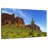 Alvord Cactus In Prospector's View