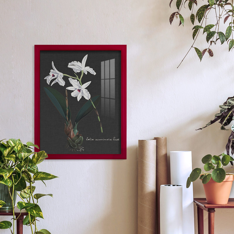 Orchidée sur ardoise V - reproduction de cadre photo simple, Rouge, H 15 po x l 12 po x P 1 po