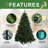 6' Christmas Tree-116970416