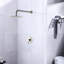 Robinet de douche mural en nickel brossé élégant avec valve - Construction en laiton de qualité supérieure pour une organisation attrayante