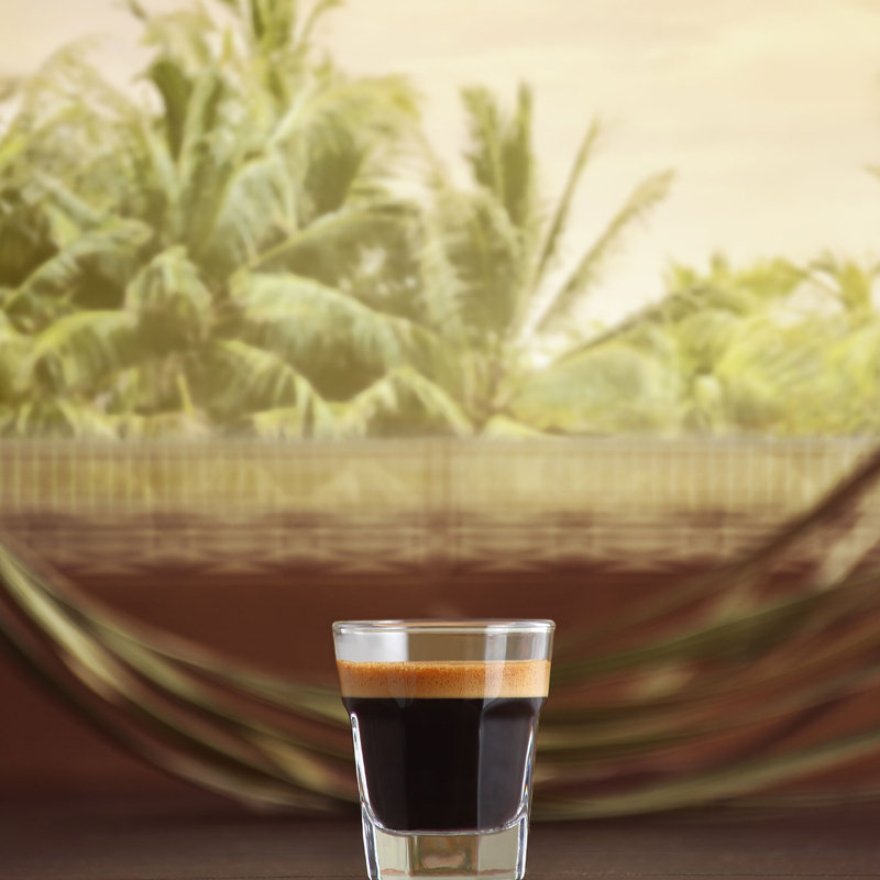 Aras 1.5oz. Shot Glass / Shooter Set
