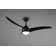 Madiun 1155cm Ceiling Fan with LED Lights
