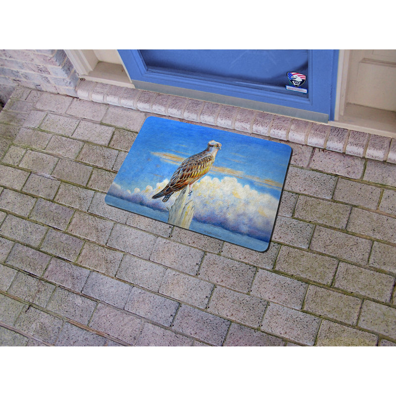 Longe Non-Slip Doormat