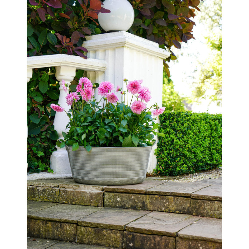Matlock Oval Metal Planter, 34cm H x 58.5cm W x 58.5cm D