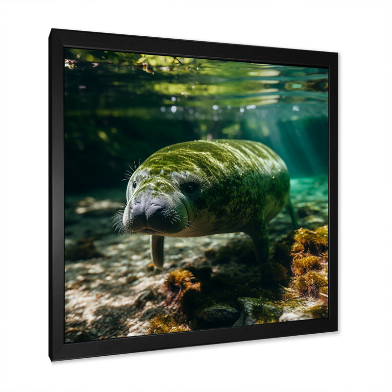 «Serene Sea Giant Portrait Of A Manatee» - Art mural lamantin, Cadre photo noir, H 16 po x l 16 po x P 1 po