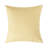 Lendsey Outdoor Square Pillow Cover-941720617
