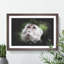 Macaque Monkey - Picture Frame Graphic Art-62802278-62802279
