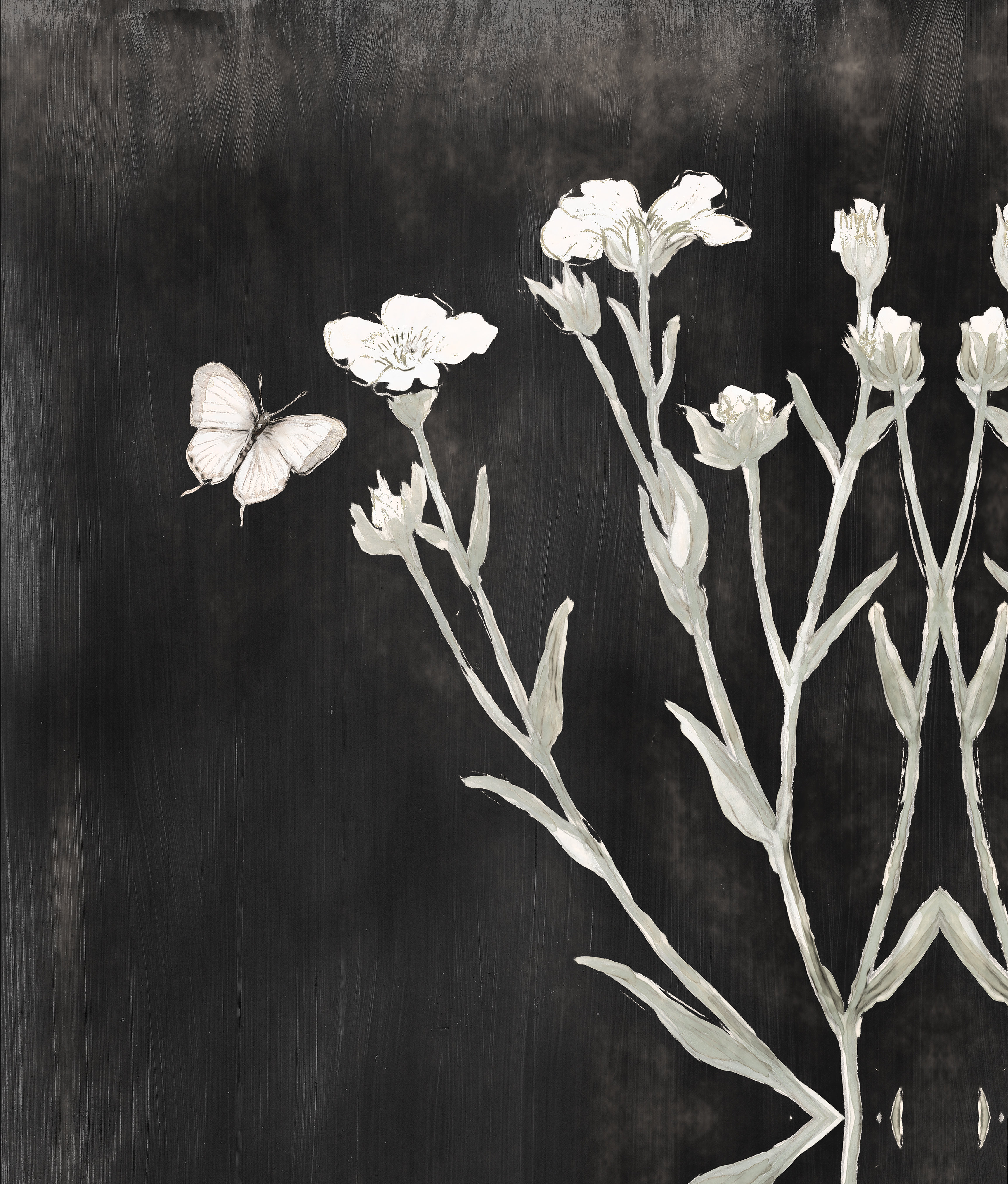 Winston Porter Vintage Botanical with Butterfly on Black Background -  Wrapped Canvas Painting Print | Wayfair