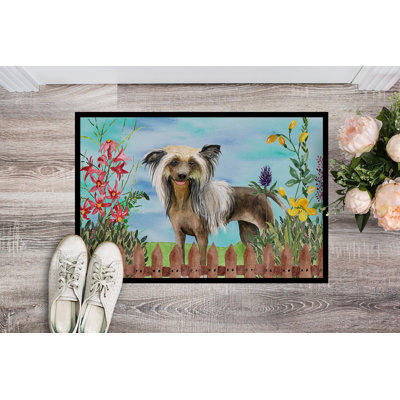 Non-Slip Outdoor Doormat